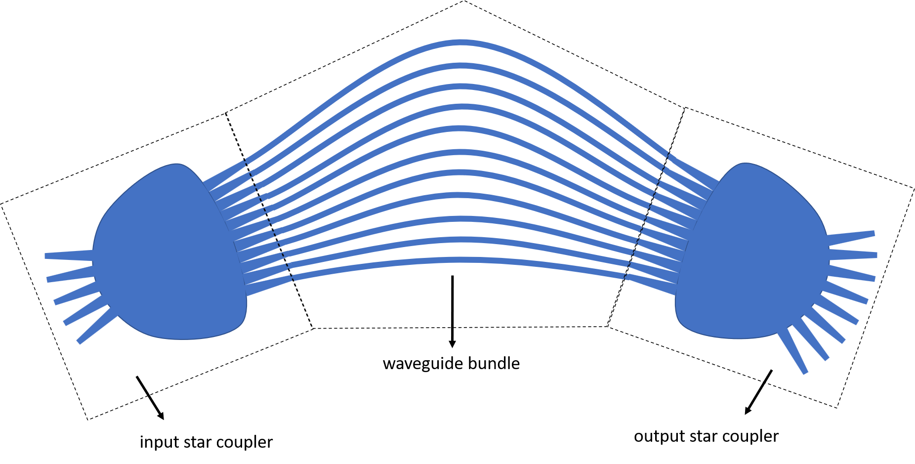 Components of the AWG: input star coupler, waveguide array and output star coupler